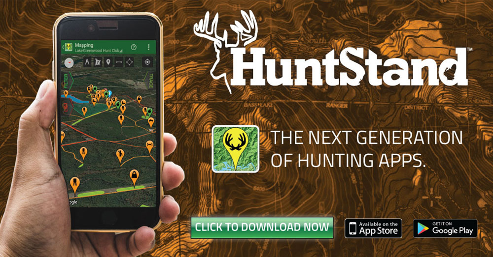 terrastride inc. internship - web graphic for social media